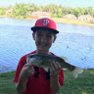 Meet your Posher, Fish